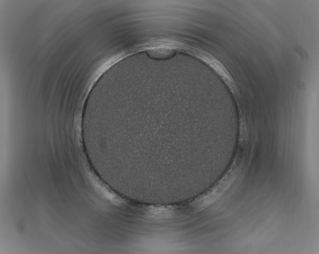 X0000112520850200908171353