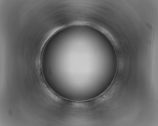 X0000112520852200908171353