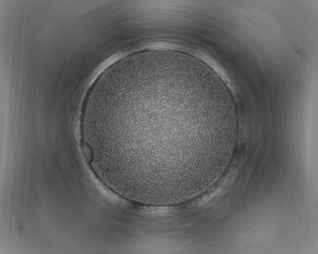 X0000112520853200908171353
