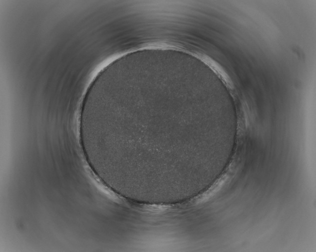 X0000112520854200908171353