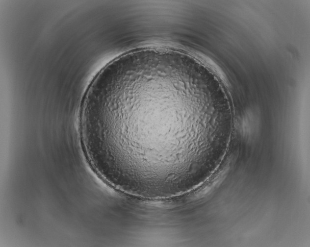 X0000112520855200908171353
