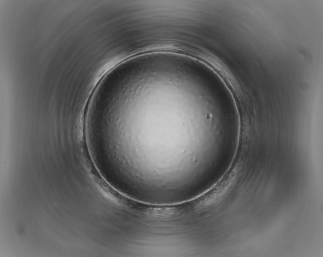 X0000112520858200908171353