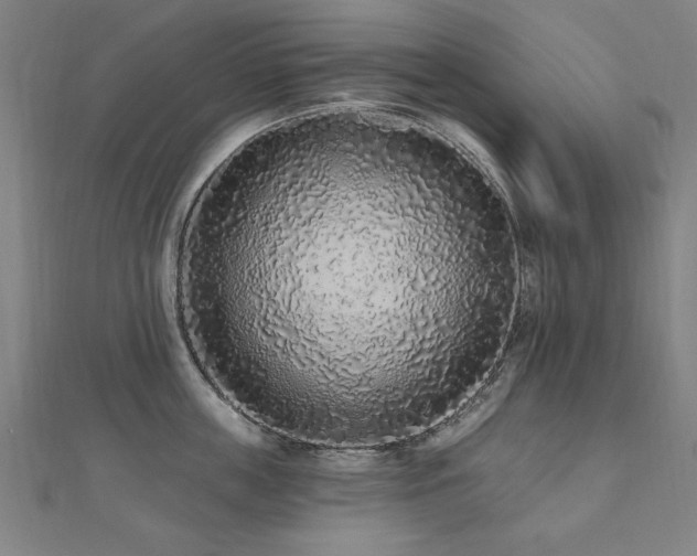 X0000112520859200908171353