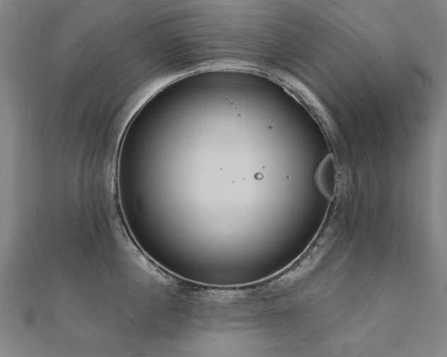 X0000112520860200908171353