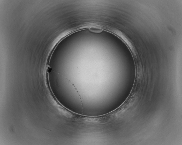 X0000112520861200908171353