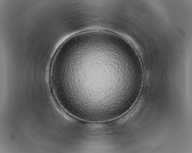 X0000112520862200908171353