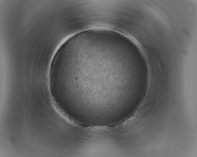 X0000112520864200908171353