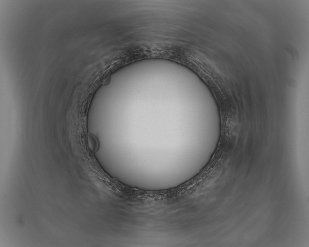 X0000112520865200908171352