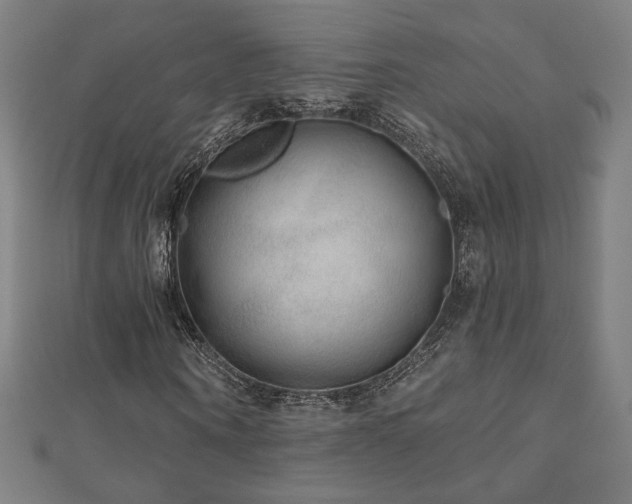 X0000112520866200908171352
