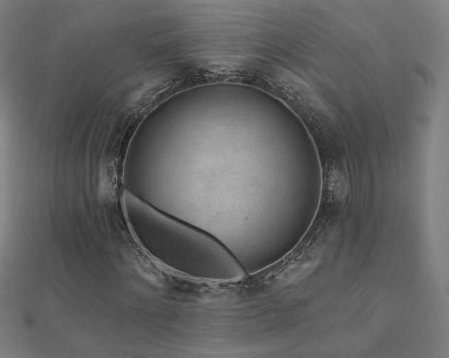 X0000112520868200908171352