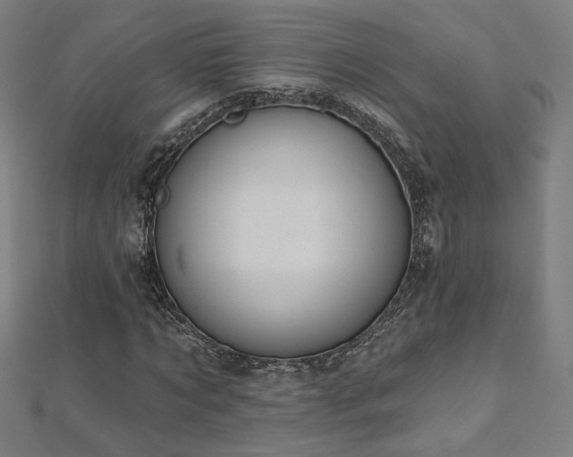 X0000112520869200908171352