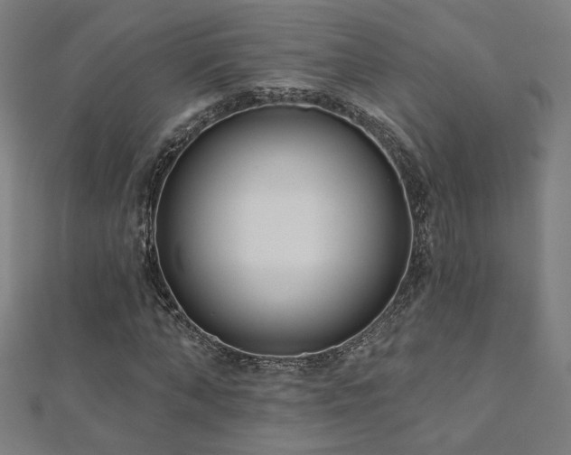 X0000112520870200908171352