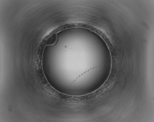 X0000112520871200908171352