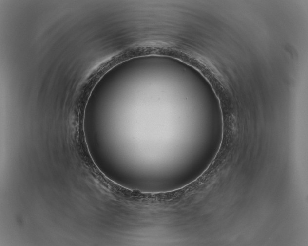 X0000112520872200908171352
