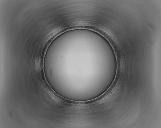 X0000112520873200908171352