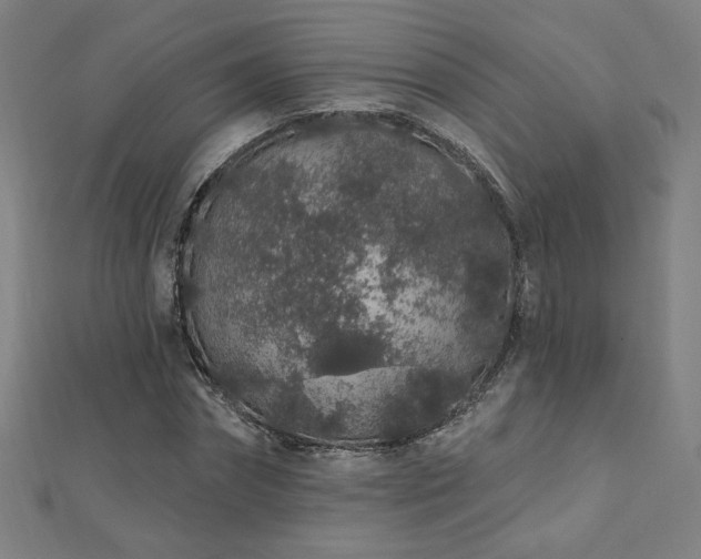 X0000112520874200908171352
