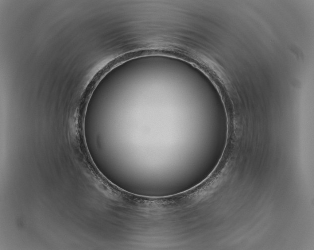 X0000112520875200908171352