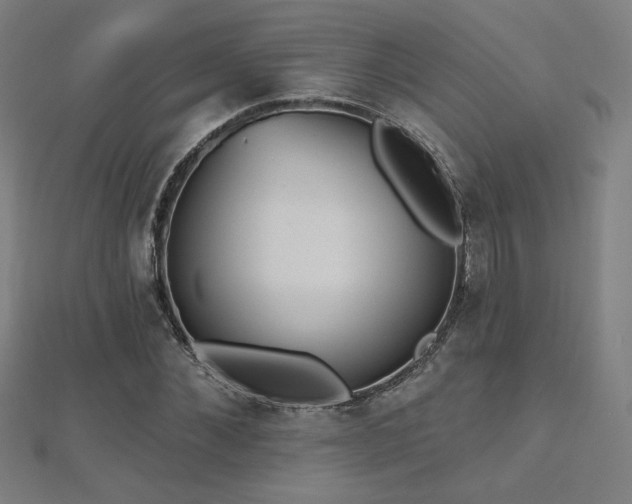 X0000112520876200908171352