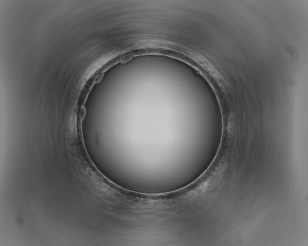 X0000112520877200908171352