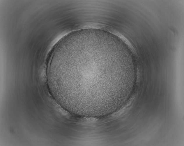 X0000112520878200908171352