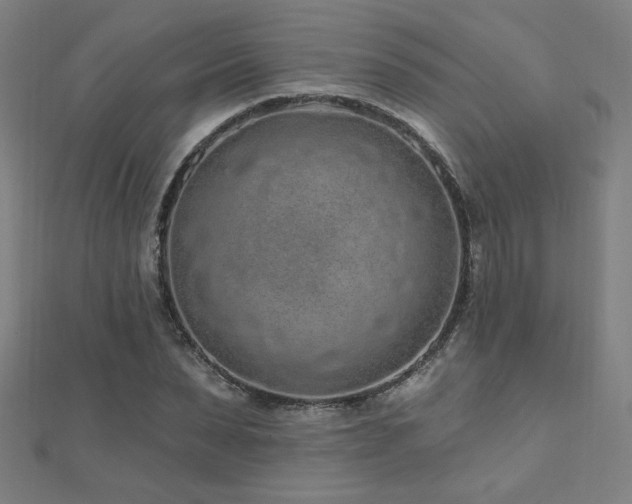 X0000112520879200908171352