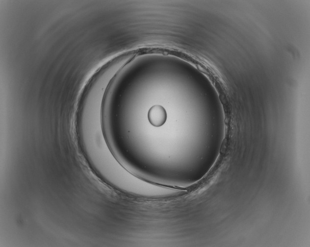 X0000112520880200908171352