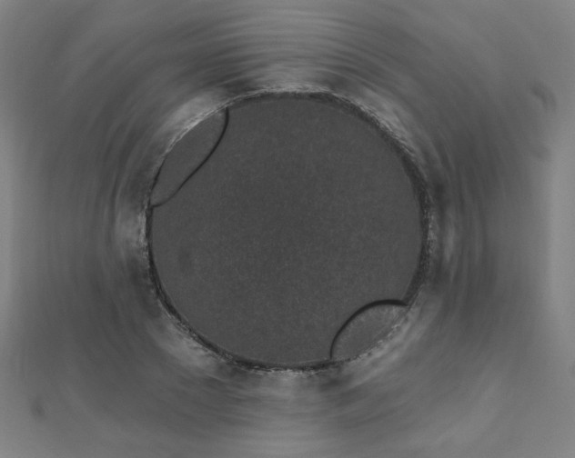 X0000112520881200908171352