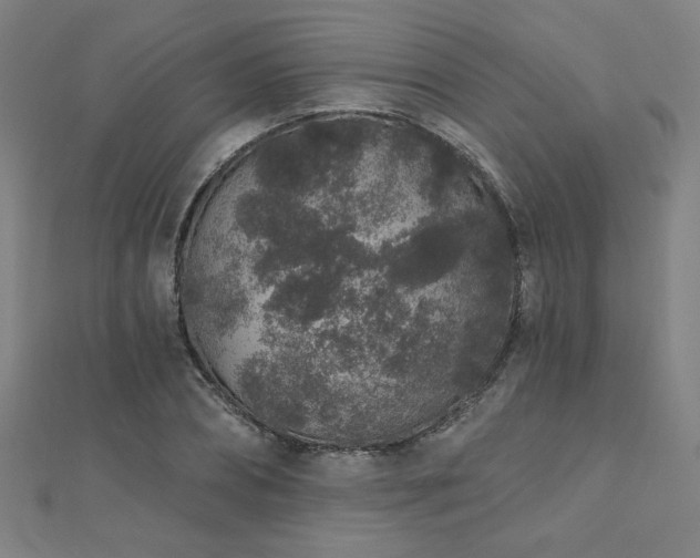 X0000112520882200908171352