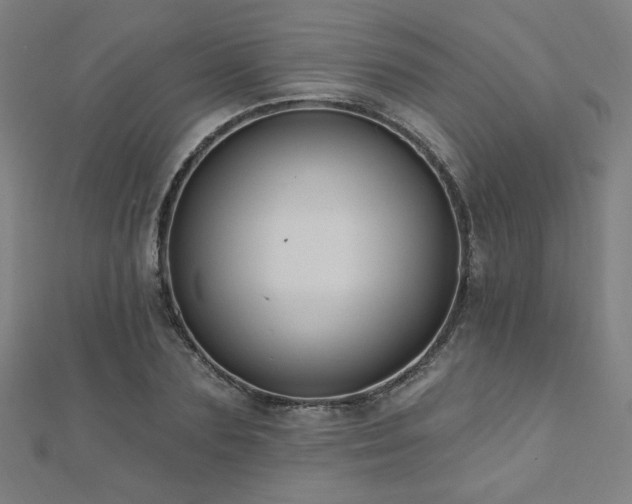 X0000112520883200908171352
