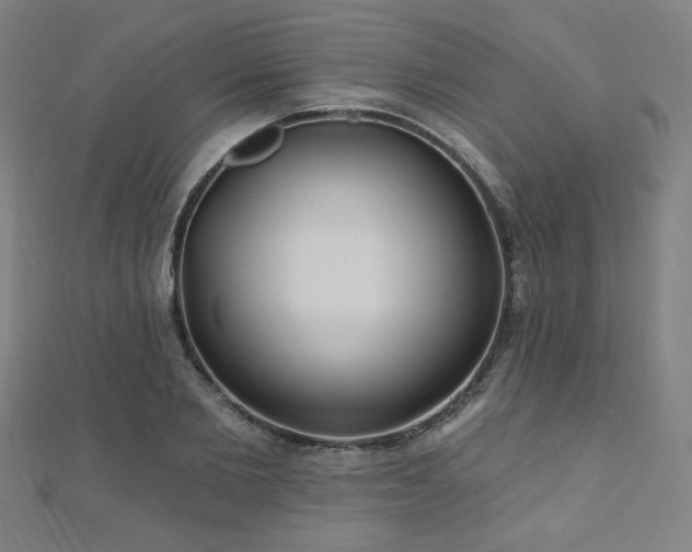 X0000112520885200908171352