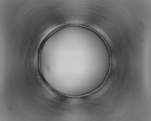 X0000112520886200908171352