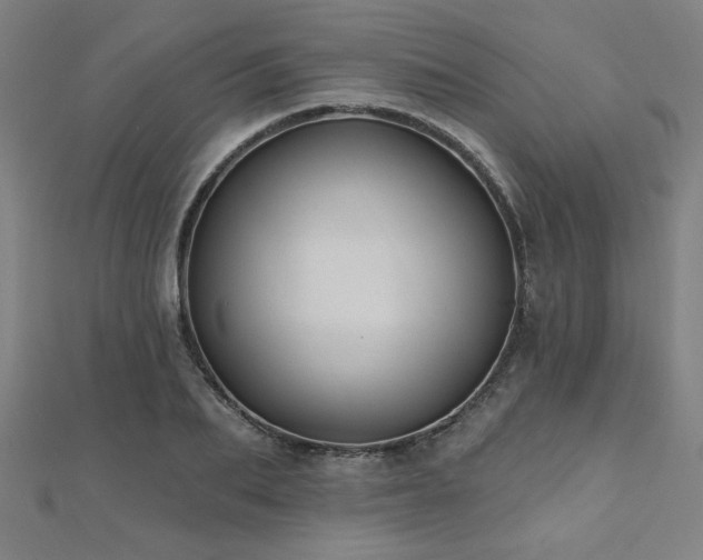 X0000112520887200908171352