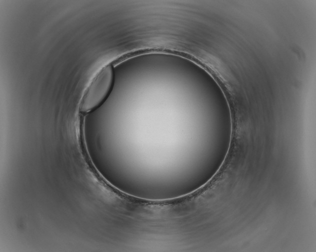 X0000112520888200908171352