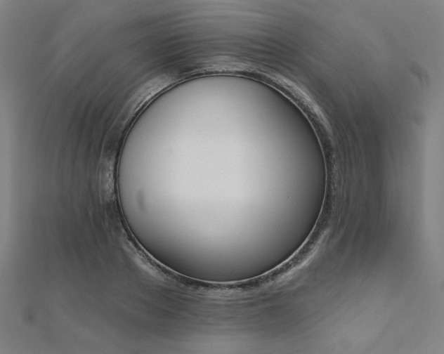 X0000112520889200908171352