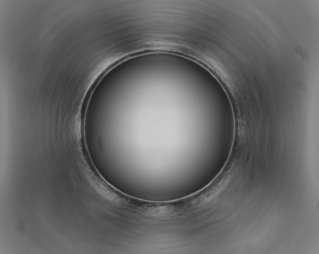 X0000112520891200908171352