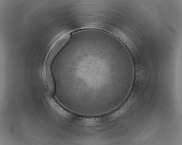 X0000112520892200908171352
