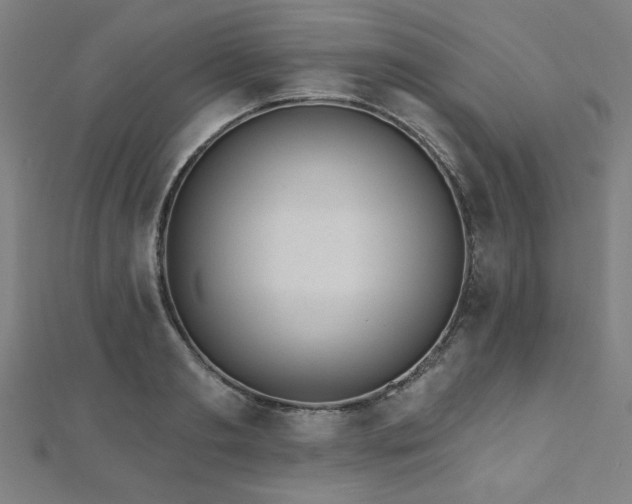 X0000112520893200908171352