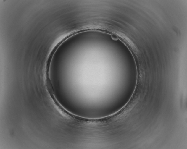 X0000112520894200908171352