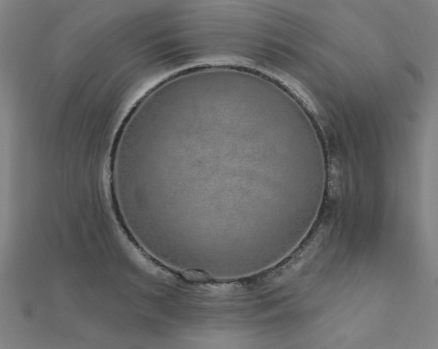 X0000112520895200908171352