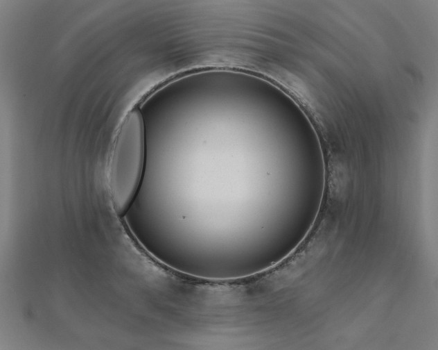 X0000112520896200908171352