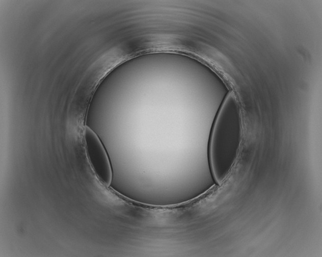 X0000112520897200908171352