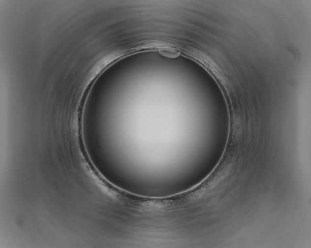 X0000112520898200908171352