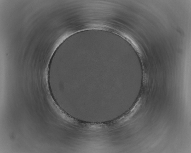 X0000112520899200908171352