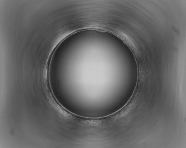 X0000112520900200908171352