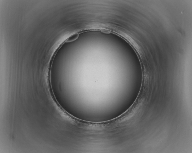 X0000112520901200908171352