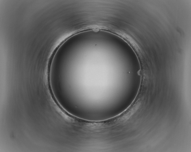 X0000112520902200908171352
