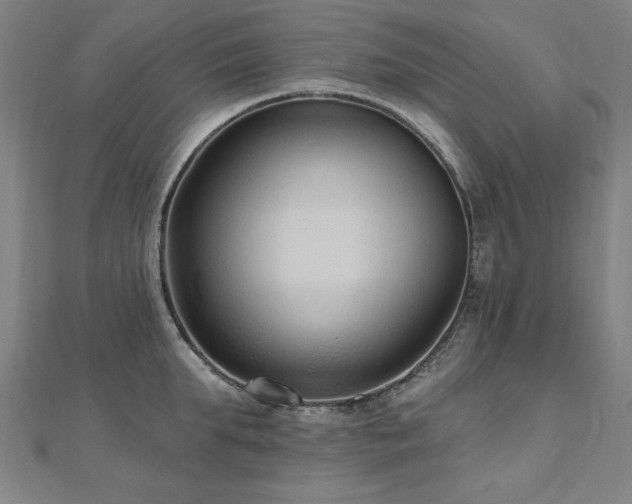 X0000112520903200908171352
