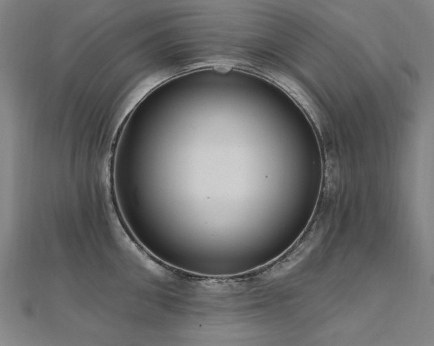 X0000112520906200908171352