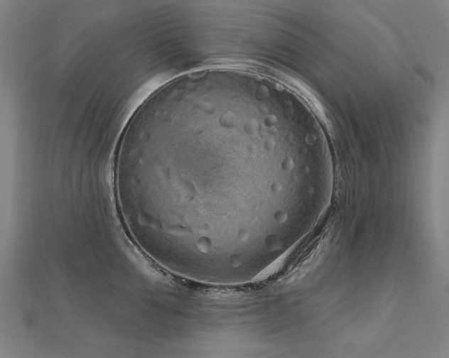 X0000112520907200908171352