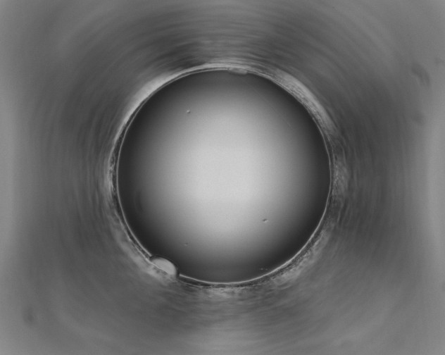 X0000112520908200908171352